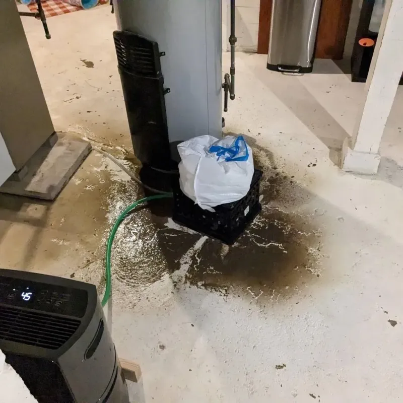 Sewage Backup Cleanup Service in Bellefontaine Neighbors, MO